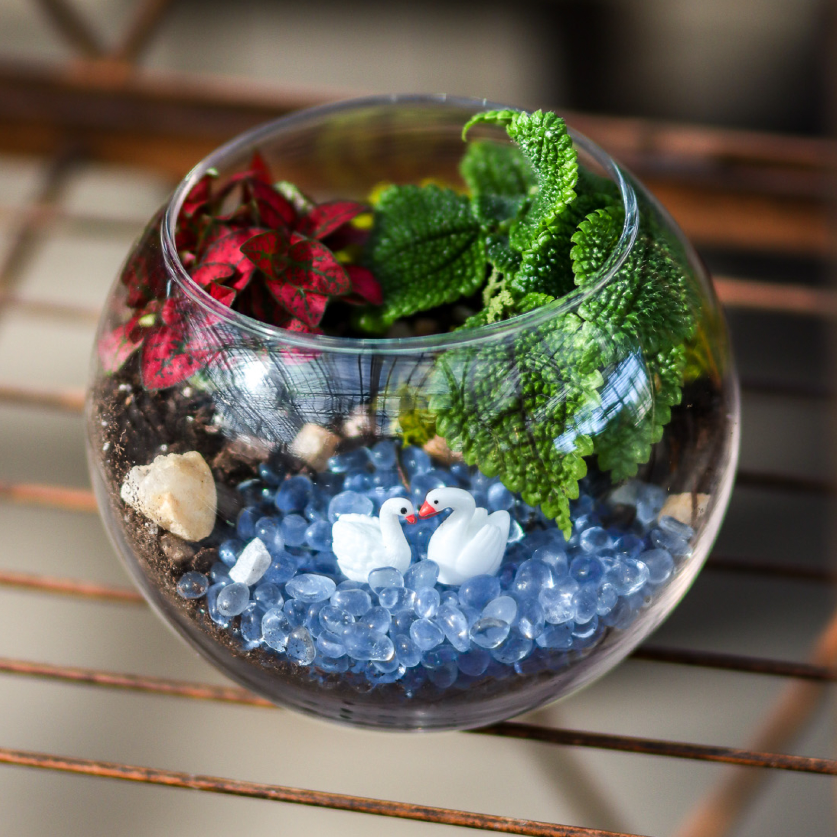 Build Your Own Love Bird Terrarium Workshop