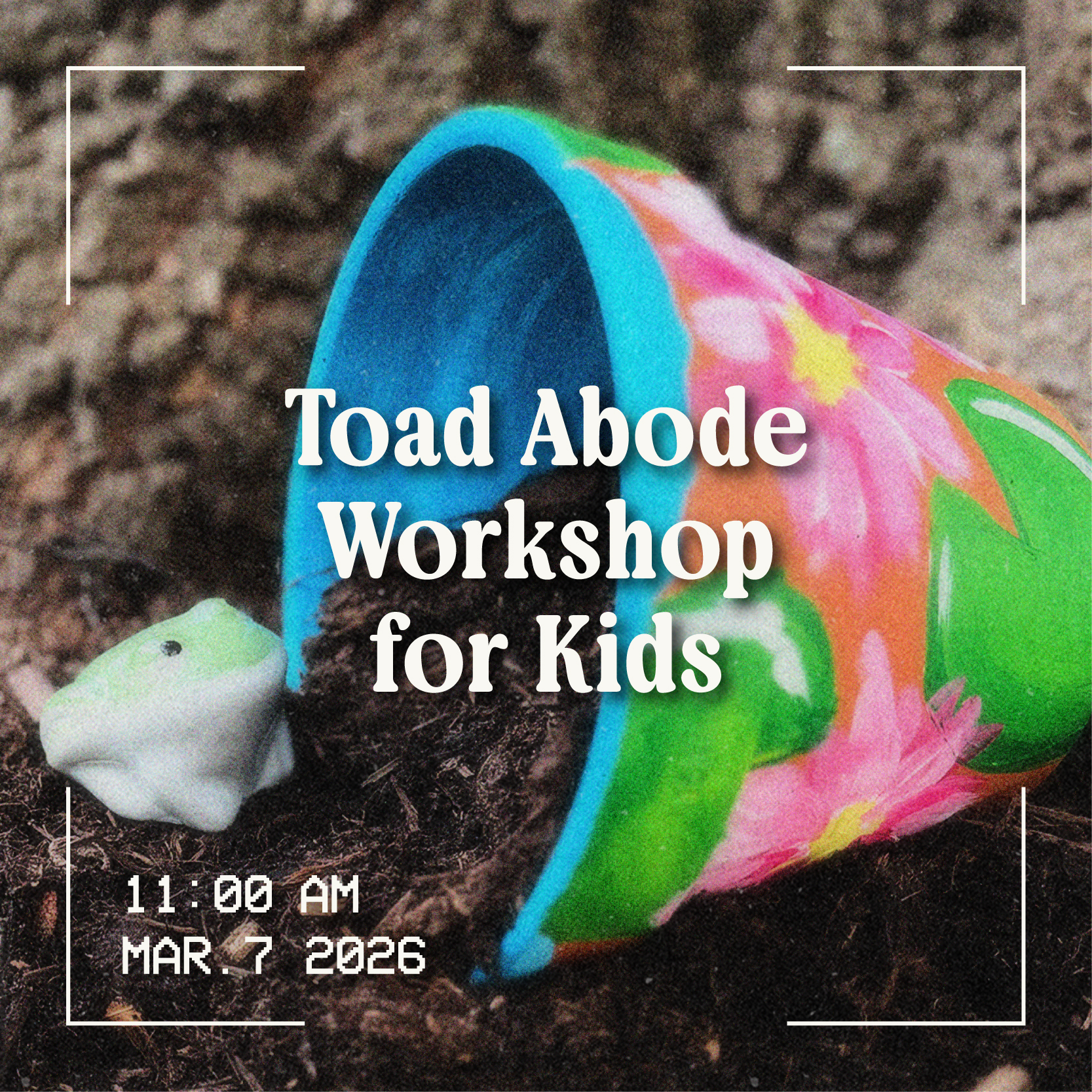 Toad Abode Workshop for Kids