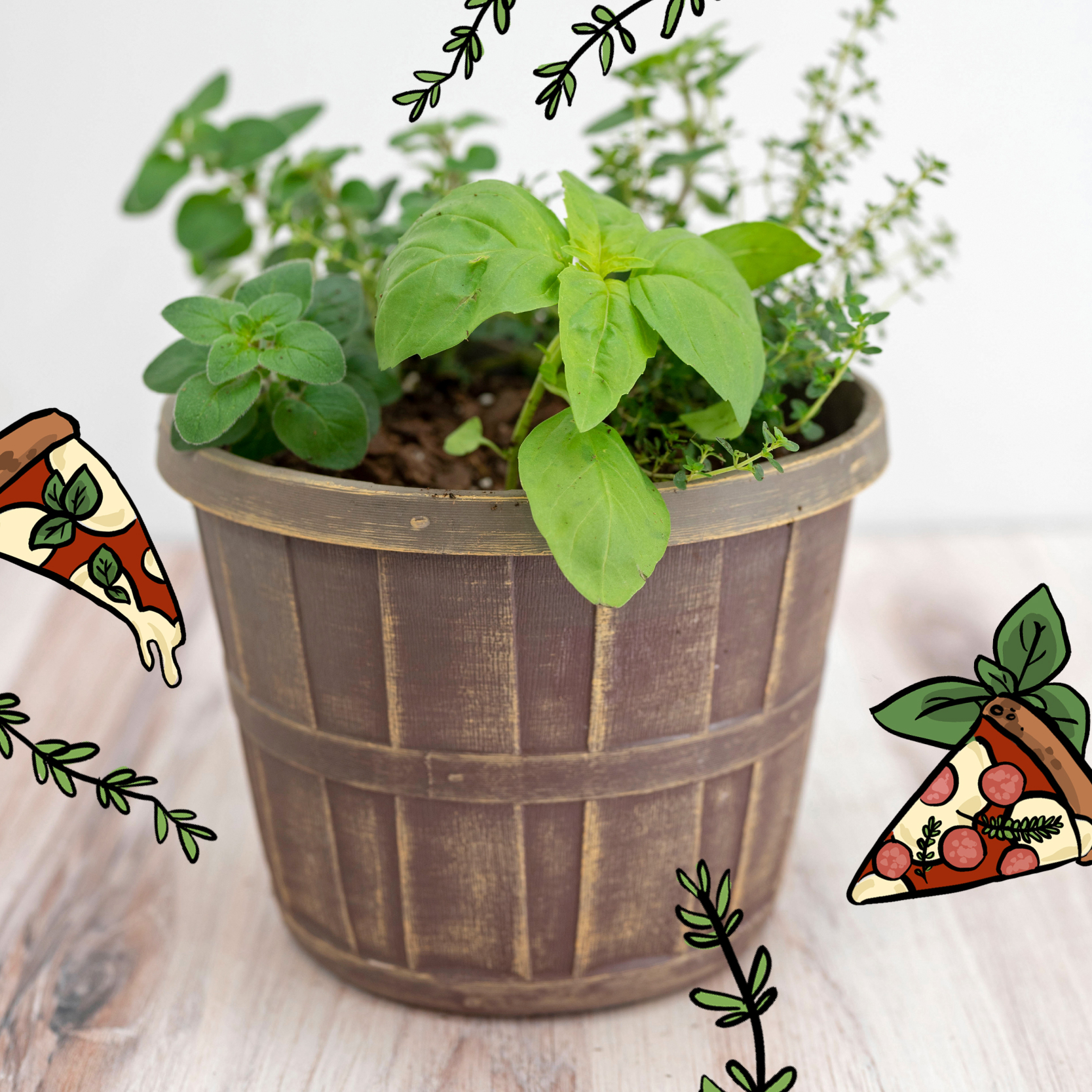 Pizza Garden Workshop for Kids