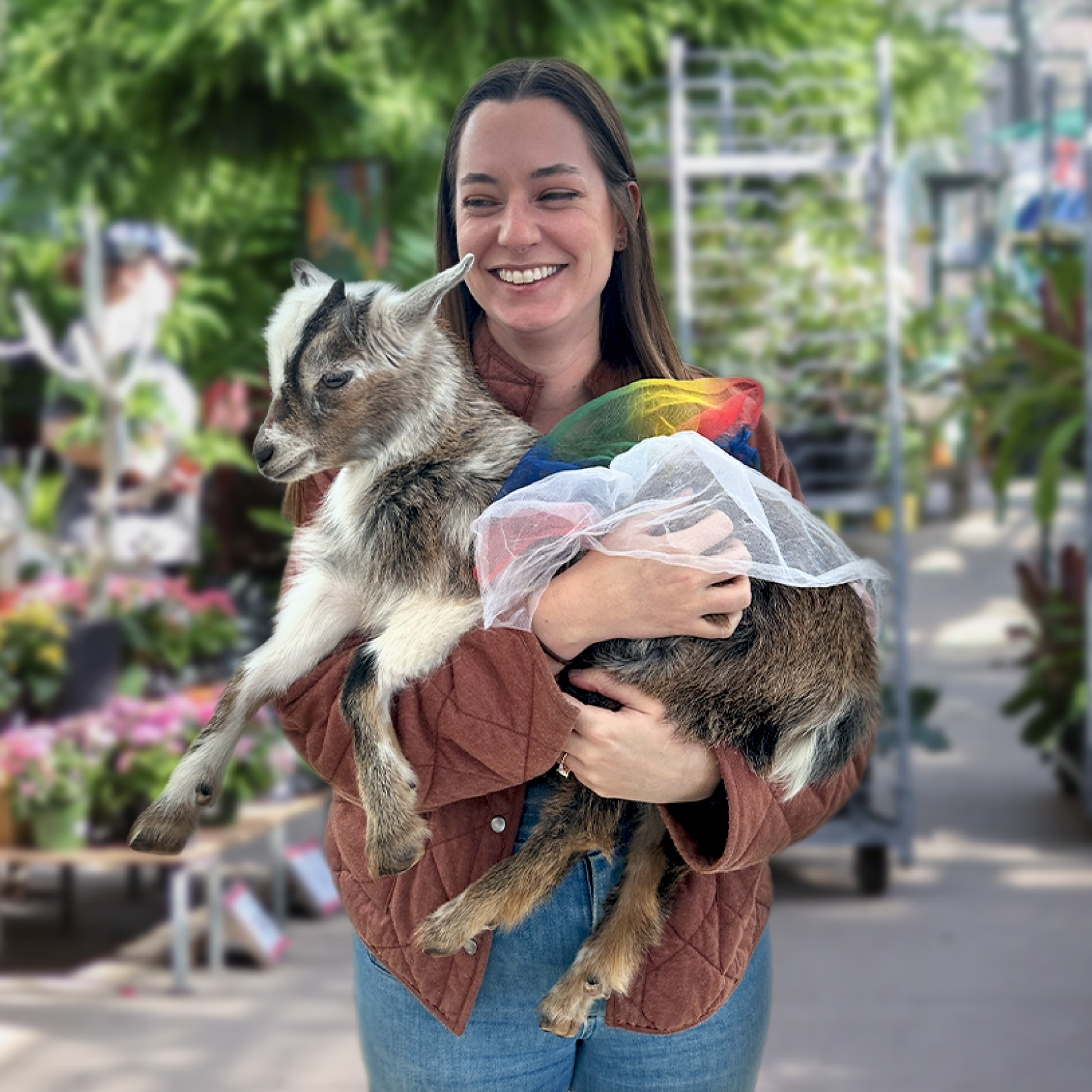 Greenhouse Goat Snuggling