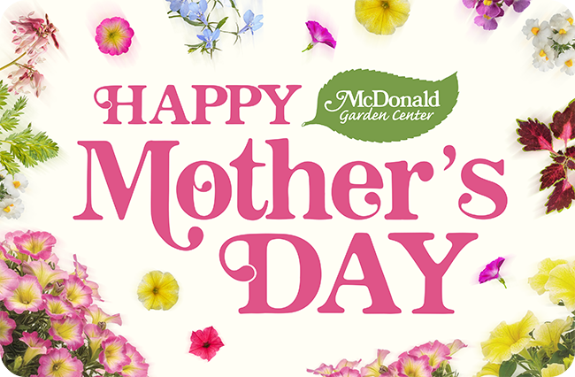 Happy Mother's Day
