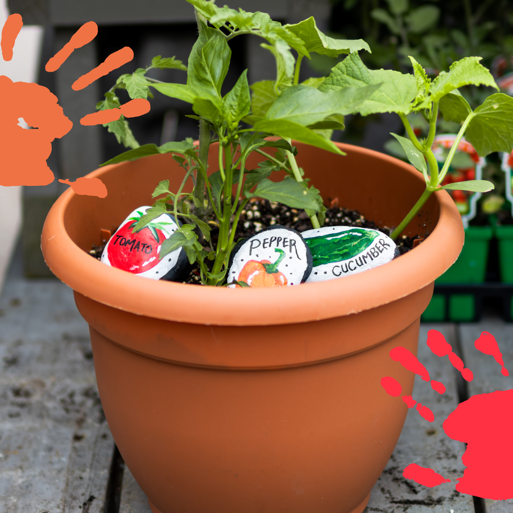 Kiddo Kitchen Garden Workshop for Kids