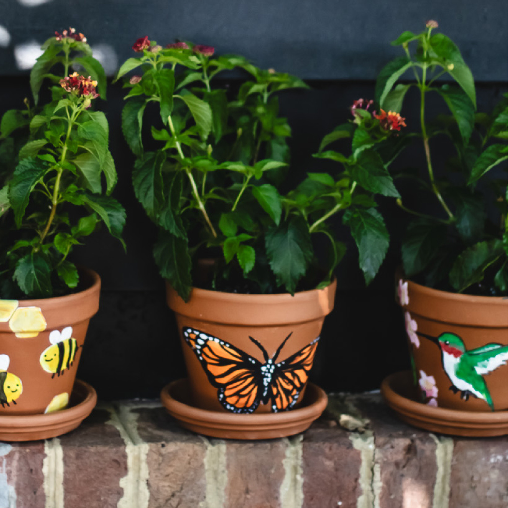 Pollinator Planter Workshop for Kids