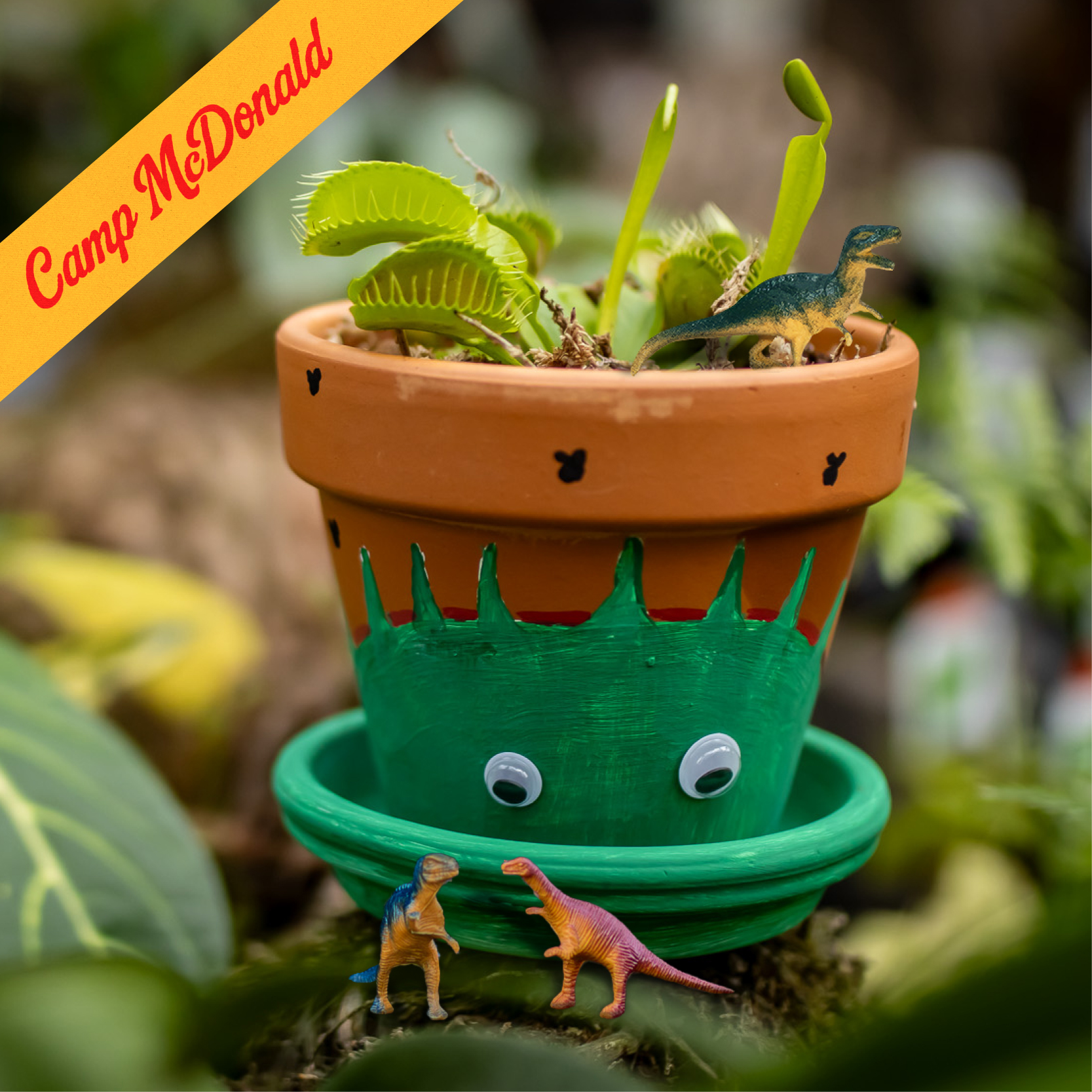 Venus Fly Trap Workshop for Kids