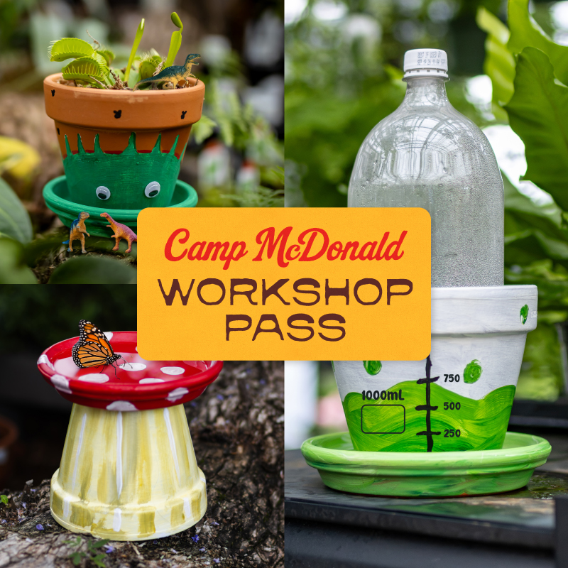 Camp McDonald Workshop Pass