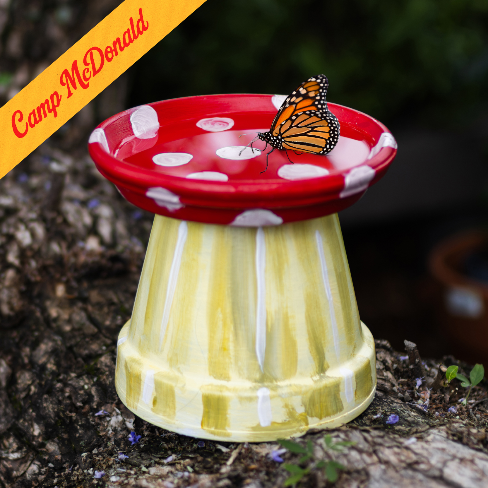 Pollinator Watering Station Workshop for Kids