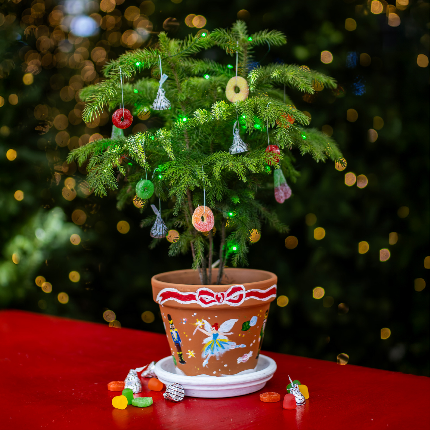 Sugar Plum Garden Workshop for Kids
